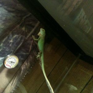 Meet your Posher, Latosha